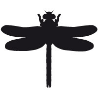 Burton" technology Dragonfly Core of 2010/2011