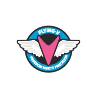 Burton" technology Flying V of 2011/2012