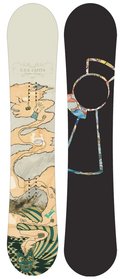 Capita Outdoor Living 2007/2008 snowboard