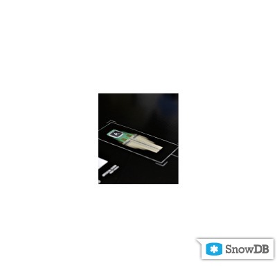Head" technology KERS Technology of 2011/2012
