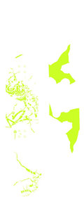 K2 Vandal 2008/2009 137 snowboard