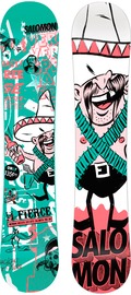 Salomon Junior Fierce 2010/2011 snowboard